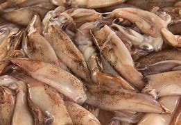 Un-Washed  Squid 1lb