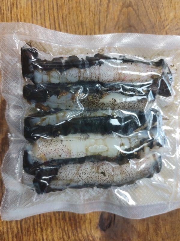 Squid and black lug raps packs of 5