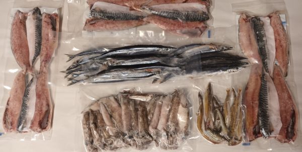 Ray Bulk Pack