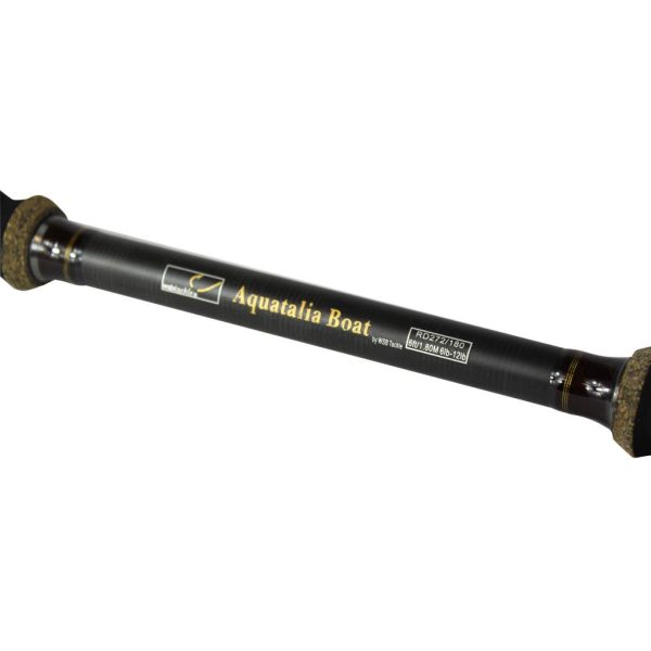 Orizon Fixed Spool & Aquatalia Boat Rod combo - Image 4