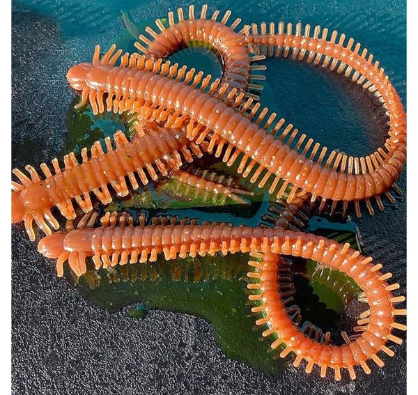 Artificial Worm Baits - Image 3