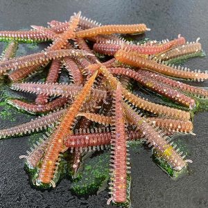 Artificial Worm Baits