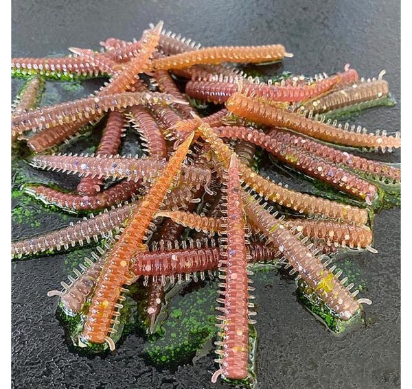 Artificial Worm Baits